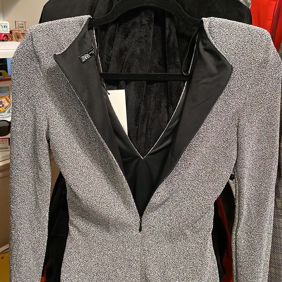 Zara Silver Long Sleeves Bodysuit - Picture 9 of 11